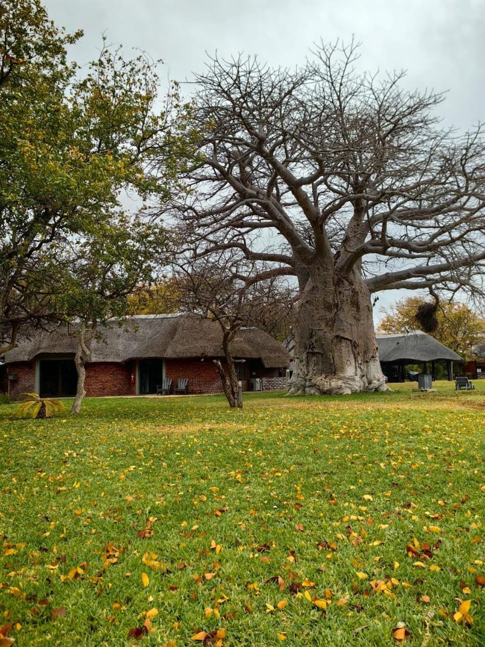Munati B&B Musina Dış mekan fotoğraf